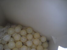 Marshalls drops water tanks
